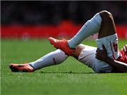 Bóng đá anh, ngoại hạng anh, lịch thi đấu euro 2012, Wenger nổi giận với Walcott